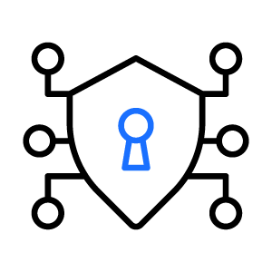 digital security icon
